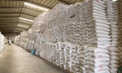 Chuẩn bị “xuất” kho gạo đợt 2, hỗ trợ 4,74 triệu lao động nghèo tại TP.HCM