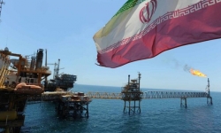 Giá xăng dầu hôm nay 7/9: Kéo dài đà giảm sau động thái của Saudi Arabia
