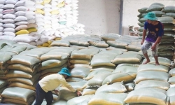 Xuất cấp hơn 1.800 tấn gạo hỗ trợ người dân 2 tỉnh Quảng Nam, Quảng Ngãi