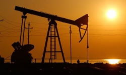 Giá xăng dầu hôm nay 19/9: Ghi nhận tuần tăng mạnh hơn 3%