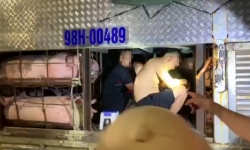 Lái xe giấu 4 người trong thùng chở lợn để “thông chốt” vào tỉnh Quảng Ninh