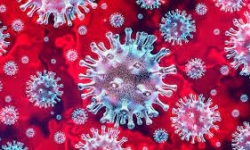 Người mắc Covid-19 có thể phát tán virus từ 2 ngày trước khi có triệu chứng