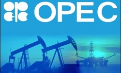 Giá xăng dầu hôm nay 27/10: Quay đầu giảm từ đỉnh 8 năm