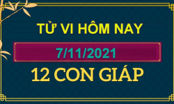 Tử vi hôm nay 7/11/2021 chủ nhật ngày 3/10 âm lịch của 12 con giáp