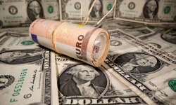 Tỷ giá ngoại tệ hôm nay 11/11: Đồng USD quay đầu tăng giá