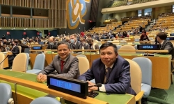 Đại sứ Nguyễn Hồng Thao tái đắc cử vào Ủy ban Luật quốc tế của LHQ