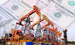 Giá xăng dầu hôm nay 13/11: Đồng loạt giảm mạnh khi kinh tế toàn cầu suy yếu