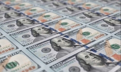 Tỷ giá ngoại tệ hôm nay 16/11: Đồng đô la Mỹ lên đỉnh 16 tháng