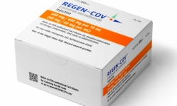 Thuốc Regen-CoV tạo ra đột phá mới trong điều trị Covid-19?
