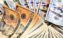 Tỷ giá ngoại tệ hôm nay 25/11: Đồng USD tăng lên đỉnh mới