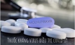 Việt Nam có khả năng sản xuất ít nhất 1 triệu liều Molnupiravir/ngày 