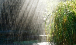 Dự báo thời tiết 10 ngày tới (Từ đêm 17/11 đến 7/12): Tây Nguyên mưa lớn