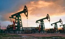 Giá xăng dầu hôm nay 27/11: Lao dốc hơn 10% trong ‘ngày tồi tệ’