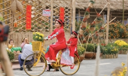Đường hoa Home Hanoi Xuan 2021 tái hiện Tết Việt xưa