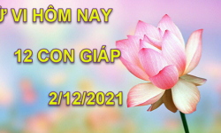 Tử vi hôm nay 2/12/2021, thứ 5 ngày 28/10 âm lịch của 12 con giáp