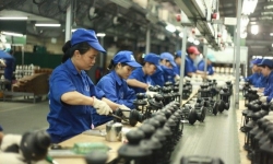 GDP Việt Nam năm 2024 có thể tăng 6,48%