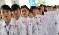 Chính phủ quy định điều kiện đưa người lao động đi làm việc tại Đài Loan, Nhật Bản