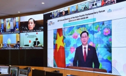 Phát biểu trực tuyến của Chủ tịch Quốc hội tại Phiên toàn thể về các vấn đề Chính trị - An ninh (APPF-29)