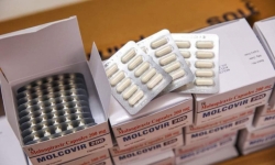 4 điều kiện để người mắc COVID-19 ở Hà Nội được sử dụng thuốc Molnupiravir
