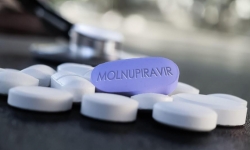 Bệnh nhân COVID-19 nhẹ sử dụng Molnupiravir điều trị không có ca nào tử vong