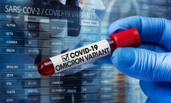 Nhiều xét nghiệm nhanh không thể phát hiện biến thể Omicron