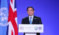 Thành lập Ban chỉ đạo triển khai thực hiện cam kết của Việt Nam tại COP26