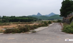 Chủ tịch UBND tỉnh Thanh Hoá yêu cầu kiểm tra việc chuyển đổi đất ở thần tốc tại Như Thanh