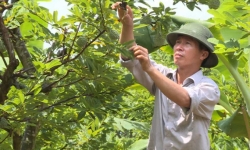 Xây dựng nông thôn thông minh: Hướng đi mới của Quảng Ninh