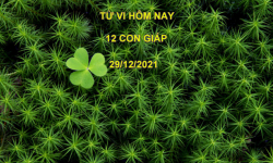 Tử vi hôm nay 29/12/2021, thứ 4 ngày 26/11 âm lịch của 12 con giáp