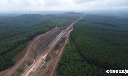 Hoàn thành chuyển mục đích sử dụng đất rừng để làm cao tốc Bắc - Nam