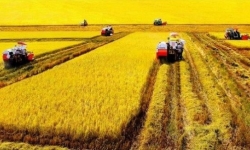 Phát triển vùng đồng bằng sông Cửu Long trở thành trung tâm kinh tế nông nghiệp bền vững