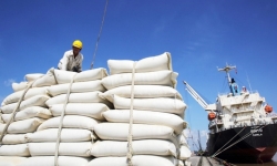 Nhiều tiềm năng cho gạo Việt Nam xuất khẩu sang châu Âu