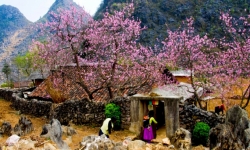 Những cao nguyên đẹp nhất Việt Nam, đến một lần là nhớ