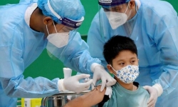 Phó Thủ tướng Vũ Đức Đam: Bộ Y tế cần làm rõ tình hình, dự báo nhiễm virus của trẻ em