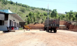 UBND tỉnh Kon Tum chỉ đạo kiểm tra toàn bộ trạm cân thu mua nông sản