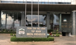 Công ty Cổ phần gia súc Lơ Pang liên tục bị xử phạt vi phạm hành chính