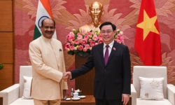 Quan hệ song phương Việt Nam - Ấn Độ tiến triển ngày càng thực chất, hiệu quả