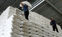 Chính phủ chỉ đạo xuất cấp hơn 484 tấn gạo cho tỉnh Hà Giang