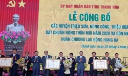 Thanh Hoá công bố 3 huyện đạt chuẩn Nông thôn mới