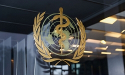 Tổ chức Y tế Thế giới đạt được thỏa thuận 'then chốt' về cải tổ ngân sách