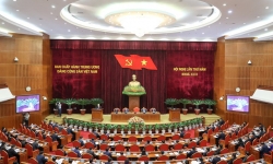 Ban Chấp hành Trung ương Đảng thảo luận về tiếp tục đổi mới, phát triển và nâng cao hiệu quả kinh tế tập thể
