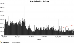 Giá Bitcoin hôm nay 12/5: Thị trường tiếp tục giảm sâu