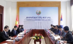 Tăng cường hợp tác giữa hai Ủy ban Đối ngoại Quốc hội Việt Nam - Lào
