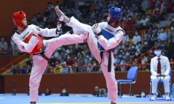 Đội tuyển Taekwondo Việt Nam xuất sắc giành 2 HCV, 1 HCB nội dung đối kháng