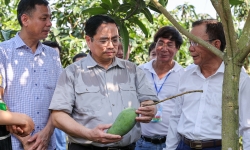 Thủ tướng Phạm Minh Chính thăm vùng sản xuất nông nghiệp xã Hát Lót, Sơn La
