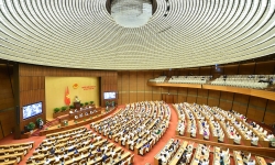 Quốc hội tiếp tục thảo luận về kinh tế - xã hội và ngân sách nhà nước