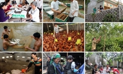 Phấn đấu 'Vì một Việt Nam không còn đói nghèo', không ai bị bỏ lại phía sau