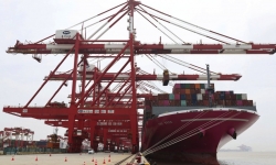 Lệnh cấm được dỡ bỏ, Cảng Thượng Hải chuẩn bị cho lượng hàng tăng đột biến
