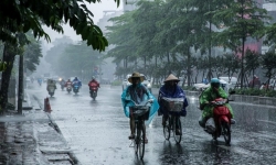 Dự báo thời tiết 11/6: Hà Nội mưa to cục bộ