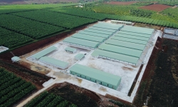 Công ty Cổ phần gia súc Lơ Pang cố ý xây dựng trại heo trái phép: Cam kết sẽ di dời